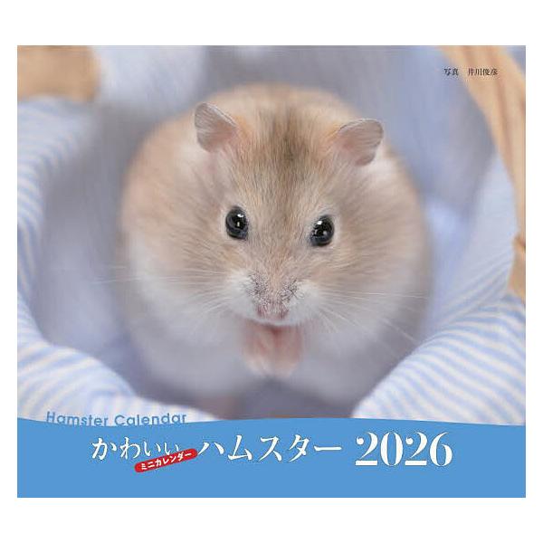 ※商品画像はイメージや仮デザインが含まれている場合があります。帯の有無など実際と異なる場合があります。出版社:誠文堂新光社発売日:2025年09月キーワード:２０２６ミニカレンダーかわいいハムスター ２０２６みにかれんだーかわいいはむすたー...