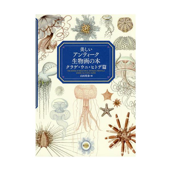 美しいアンティーク生物画の本 クラゲ・ウニ・ヒトデ篇/山田英春