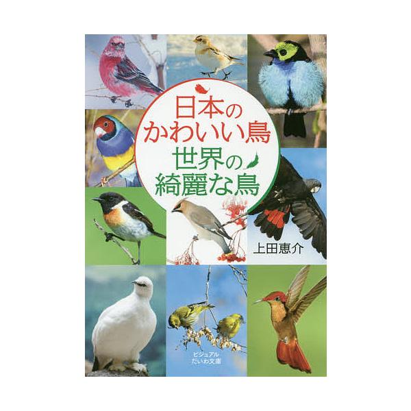 日本のかわいい鳥　世界の綺麗な鳥 ビジュアルだいわ文庫 / 上田恵介  〔文庫〕