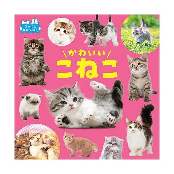 ※商品画像はイメージや仮デザインが含まれている場合があります。帯の有無など実際と異なる場合があります。写真:福田豊文出版社:永岡書店発売日:2025年07月シリーズ名等:なかよし写真えほんキーワード:かわいいこねこ福田豊文 えほん 絵本 プ...