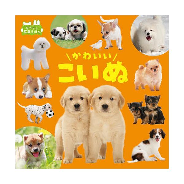 ※商品画像はイメージや仮デザインが含まれている場合があります。帯の有無など実際と異なる場合があります。写真:福田豊文出版社:永岡書店発売日:2025年12月シリーズ名等:なかよし写真えほんキーワード:かわいいこいぬ福田豊文 えほん 絵本 プ...