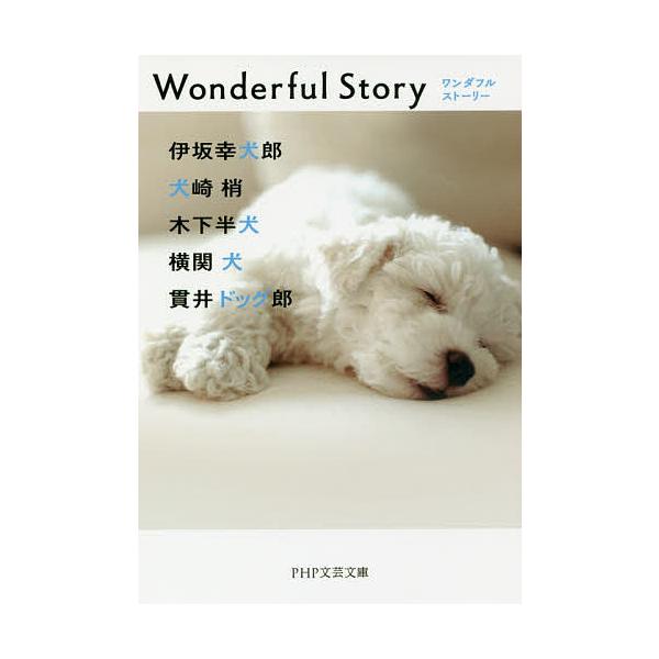 Wonderful Story/伊坂幸犬郎/犬崎梢/木下半犬