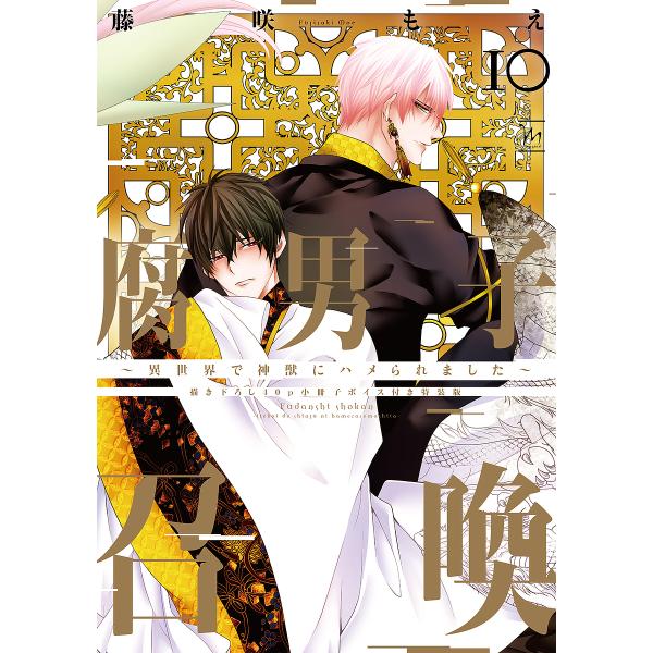 著:藤咲もえ出版社:双葉社発売日:2024年12月シリーズ名等:marginalキーワード:腐男子召喚異世界で神獣にハメられました１０藤咲もえ ふだんししようかん１０ フダンシシヨウカン１０ ふじさき もえ フジサキ モエ