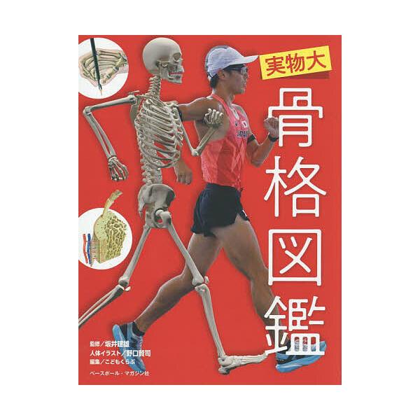 ※商品画像はイメージや仮デザインが含まれている場合があります。帯の有無など実際と異なる場合があります。監修:坂井建雄　編集:野口賢司人体イラストこどもくらぶ出版社:ベースボール・マガジン社発売日:2025年09月キーワード:実物大骨格図鑑坂...