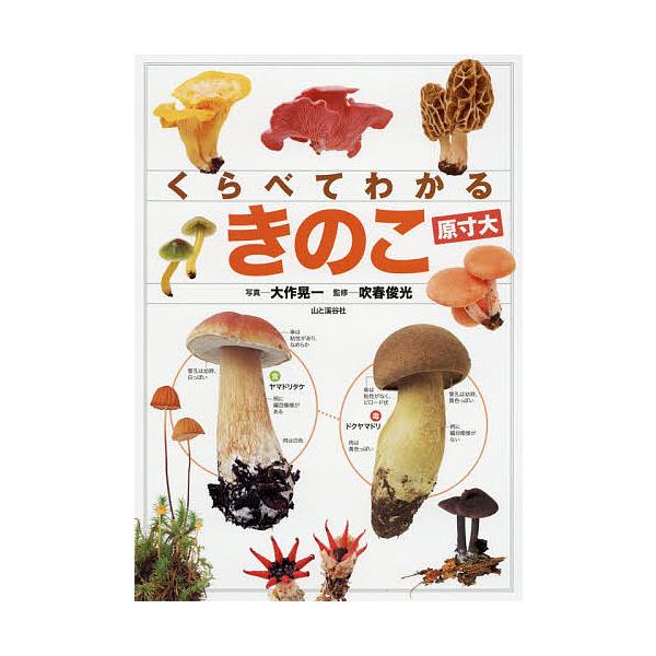 写真:大作晃一　監修:吹春俊光出版社:山と溪谷社発売日:2015年09月キーワード:くらべてわかるきのこ原寸大大作晃一吹春俊光 くらべてわかるきのこげんすんだい クラベテワカルキノコゲンスンダイ おおさく こういち ふきはる  オオサク コ...