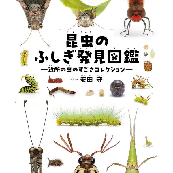 昆虫のふしぎ発見図鑑 近所の虫のすごさコレクション/安田守