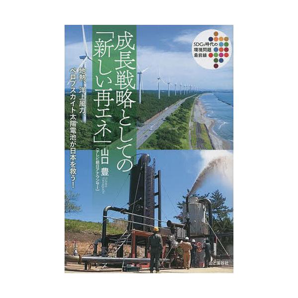 成長戦略としての「新しい再エネ」 地熱、洋上風力、ペロブスカイト太陽電池が日本を救う!/山口豊
