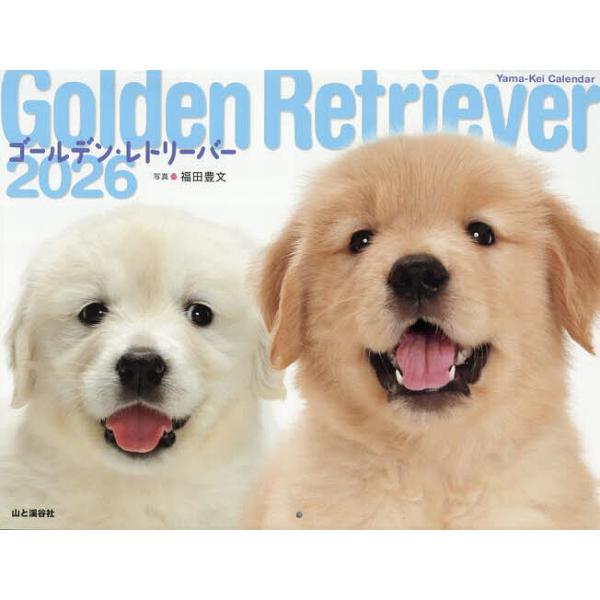 ※商品画像はイメージや仮デザインが含まれている場合があります。帯の有無など実際と異なる場合があります。出版社:山と溪谷社発売日:2025年10月キーワード:カレンダー’２６ゴールデン・レトリーバー かれんだー２０２６ごーるでんれとりーばー ...