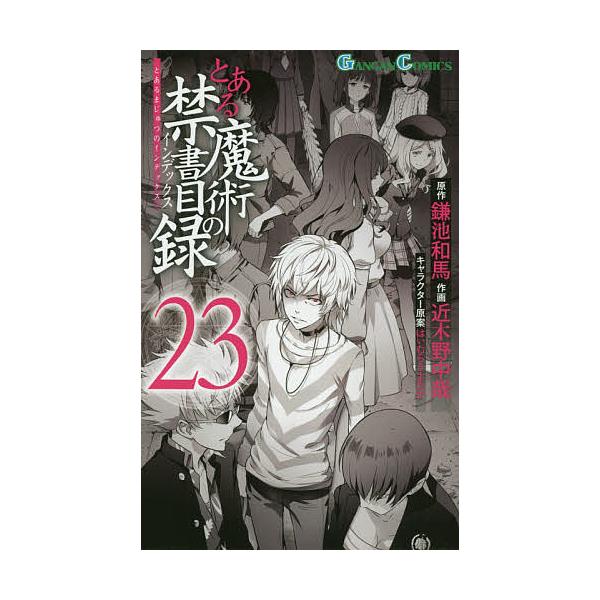 とある魔術の禁書目録(インデックス) 23/鎌池和馬/近木野中哉