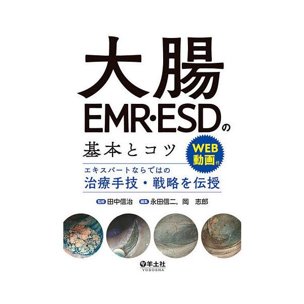 大腸EMR・ESDの基本とコツ エキスパートならではの治療手技・戦略を