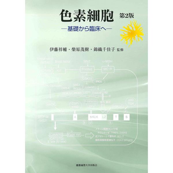 色素細胞 基礎から臨床へ/伊藤祥輔/柴原茂樹/錦織千佳子