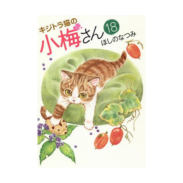 キジトラ猫の小梅さん＋子猫の小梅さん　　ほしのなつみ／少年画報社 bookfan_bk-4785962860