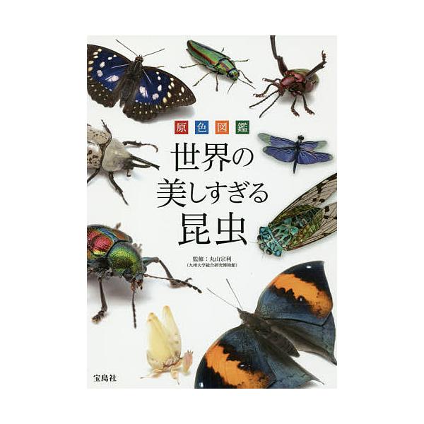 監修:丸山宗利出版社:宝島社発売日:2017年05月キーワード:原色図鑑世界の美しすぎる昆虫丸山宗利 げんしよくずかんせかいのうつくしすぎるこんちゆう ゲンシヨクズカンセカイノウツクシスギルコンチユウ まるやま むねとし マルヤマ ムネトシ