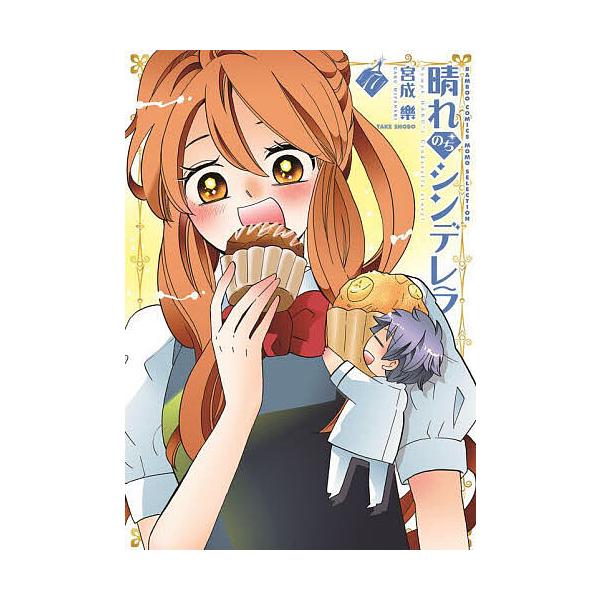晴れのちシンデレラ 17