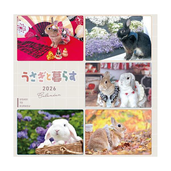 ※商品画像はイメージや仮デザインが含まれている場合があります。帯の有無など実際と異なる場合があります。出版社:うさぎと暮らす発売日:2025年10月キーワード:うさぎと暮らす２０２６Calendar うさぎとくらす２０２６かれんだー ウサギ...