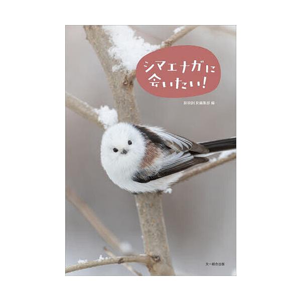 ※商品画像はイメージや仮デザインが含まれている場合があります。帯の有無など実際と異なる場合があります。編:BIRDER編集部出版社:文一総合出版発売日:2025年12月キーワード:シマエナガに会いたい！BIRDER編集部 しまえながにあいた...