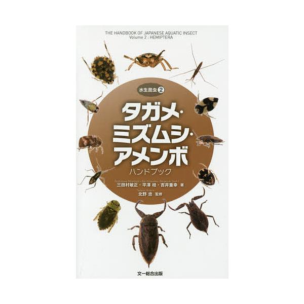 著:三田村敏正　著:平澤桂　著:吉井重幸出版社:文一総合出版発売日:2017年07月シリーズ名等:水生昆虫 ２キーワード:タガメ・ミズムシ・アメンボハンドブック三田村敏正平澤桂吉井重幸 たがめみずむしあめんぼはんどぶつくすいせいこんちゆ タ...