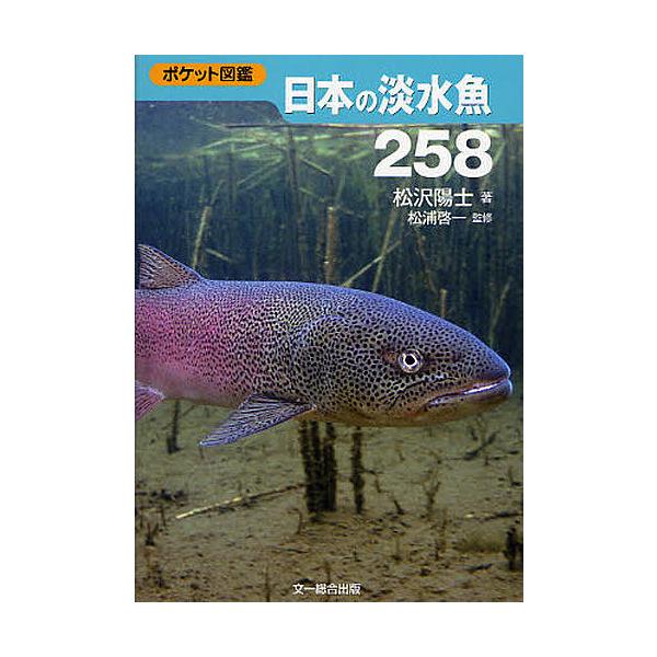 ※商品画像はイメージや仮デザインが含まれている場合があります。帯の有無など実際と異なる場合があります。著:松沢陽士　監修:松浦啓一出版社:文一総合出版発売日:2011年08月シリーズ名等:ポケット図鑑キーワード:日本の淡水魚２５８松沢陽士松...