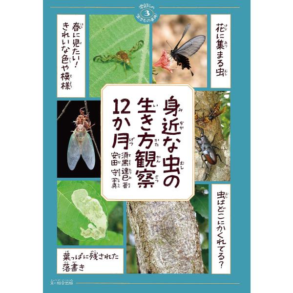 身近な虫の生き方観察12か月/須黒達巳/安田守