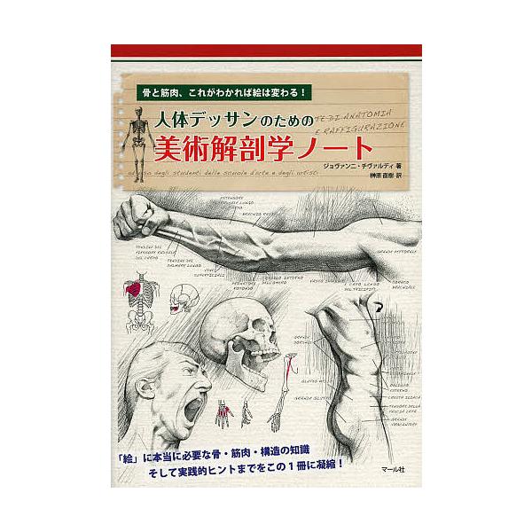 人体デッサンのための美術解剖学ノート 骨と筋肉、これがわかれば絵は変わる!/ジョヴァンニ・チヴァルディ/榊原直樹