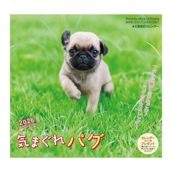 ※商品画像はイメージや仮デザインが含まれている場合があります。帯の有無など実際と異なる場合があります。出版社:労働教育センター発売日:2025年09月キーワード:気まぐれパグカレンダー２０２６ きまぐれぱぐかれんだー２０２６ キマグレパグカ...