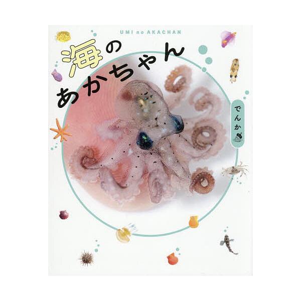 著:でんか　監修:杉本幹出版社:ワニブックス発売日:2025年08月キーワード:海のあかちゃんでんか杉本幹 うみのあかちやん ウミノアカチヤン でんか すぎもと みき デンカ スギモト ミキ