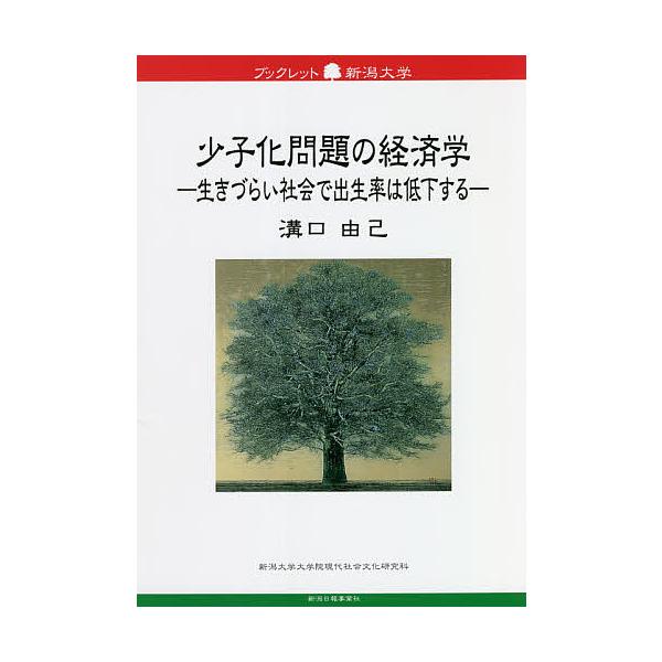 少子化問題の経済学 生きづらい社会で出生率は低下する/溝口由己