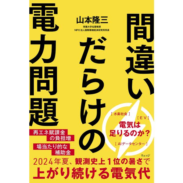 間違いだらけの電力問題/山本隆三