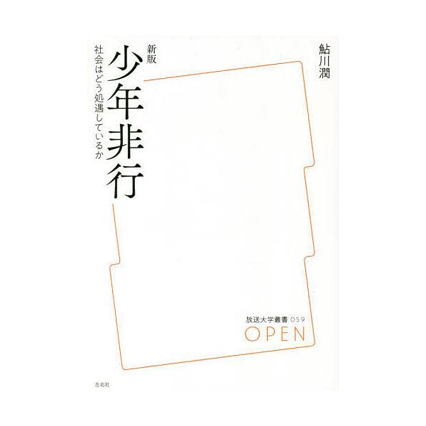 少年非行 社会はどう処遇しているか/鮎川潤