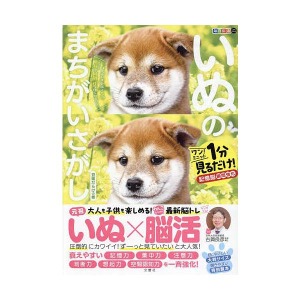 監修:古賀良彦出版社:文響社発売日:2024年シリーズ名等:毎日脳活スペシャルキーワード:いぬのまちがいさがしワン！ミニット１分見るだけ！記憶脳瞬間強化豆柴だらけの巻古賀良彦 いぬのまちがいさがしまめしばだらけ／の／まきわんみ イヌノマチガ...