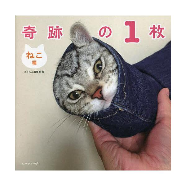 奇跡の1枚 ねこ編/にゃんこ編集部