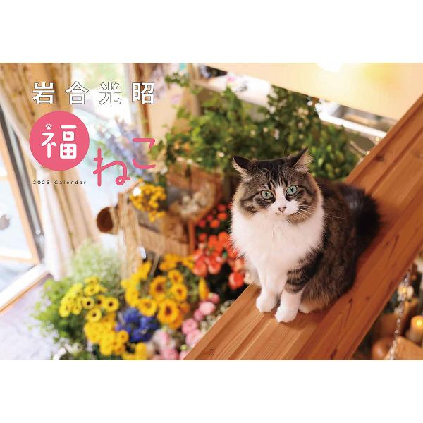 ※商品画像はイメージや仮デザインが含まれている場合があります。帯の有無など実際と異なる場合があります。出版社:神宮館発売日:2025年10月キーワード:岩合光昭福ねこカレンダー２０２６ いわごうみつあきふくねこかれんだー２０２６ イワゴウミ...