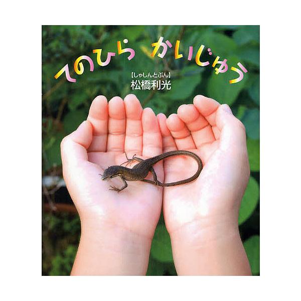 ※商品画像はイメージや仮デザインが含まれている場合があります。帯の有無など実際と異なる場合があります。著:松橋利光出版社:そうえん社発売日:2008年09月シリーズ名等:しぜんといっしょ １キーワード:てのひらかいじゅう松橋利光 えほん 絵...