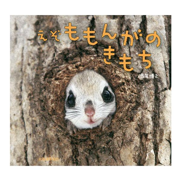 著:西尾博之出版社:北海道新聞社発売日:2016年04月キーワード:えぞももんがのきもち西尾博之 えぞももんがのきもち エゾモモンガノキモチ にしお ひろゆき ニシオ ヒロユキ
