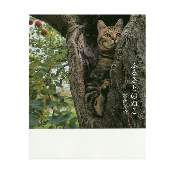 ※商品画像はイメージや仮デザインが含まれている場合があります。帯の有無など実際と異なる場合があります。著:岩合光昭出版社:クレヴィス発売日:2015年04月キーワード:ふるさとのねこ岩合光昭 ふるさとのねこ フルサトノネコ いわごう みつあ...
