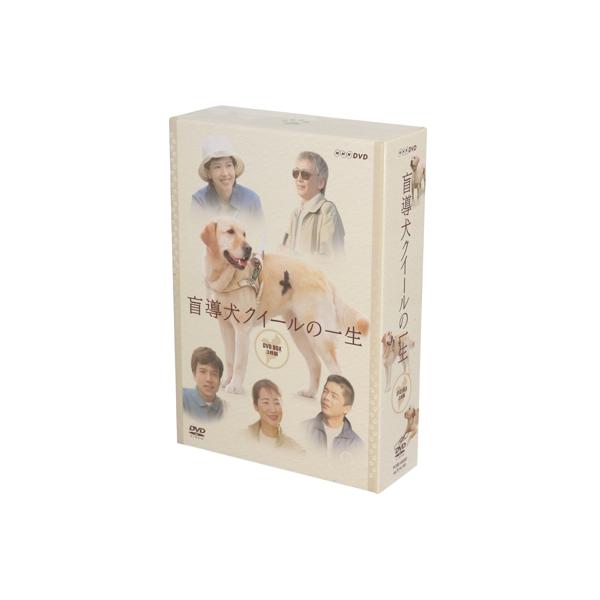 盲導犬クイールの一生 DVD BOX/沢口靖子