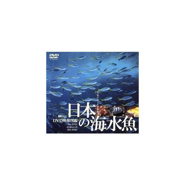 日本の海水魚 DVD映像図鑑/(自然) : ブックオフ2号館 ヤフー
