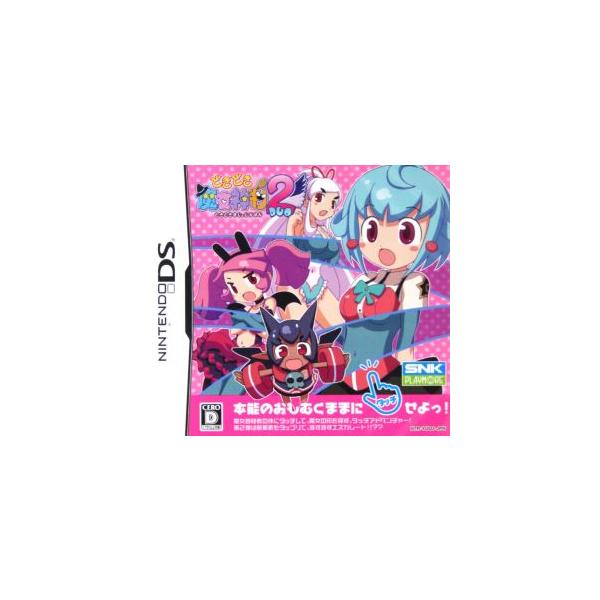 ニンテンドーDSソフト どきどき魔女神判2