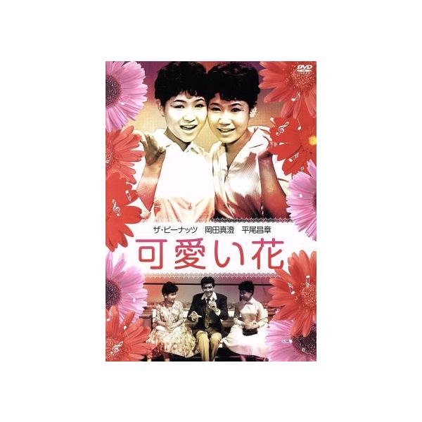 可愛い花/ザ・ピーナッツ,岡田眞澄,平尾昌章,井田探(監督),中村八大(音楽)