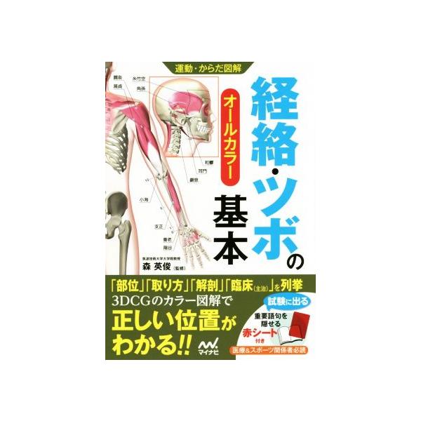 経絡・ツボの基本 オールカラー 運動・からだ図解/森英俊　