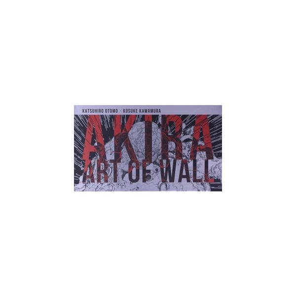 AKIRA ART OF WALL/大友克洋(著者),河村康輔