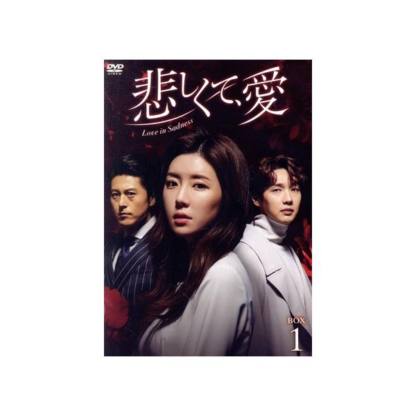 悲しくて、愛 DVD-BOX1/チ・ヒョヌ,パク・ハンビョル,リュ・スヨン,ワン・ビッナ,野島伸司(