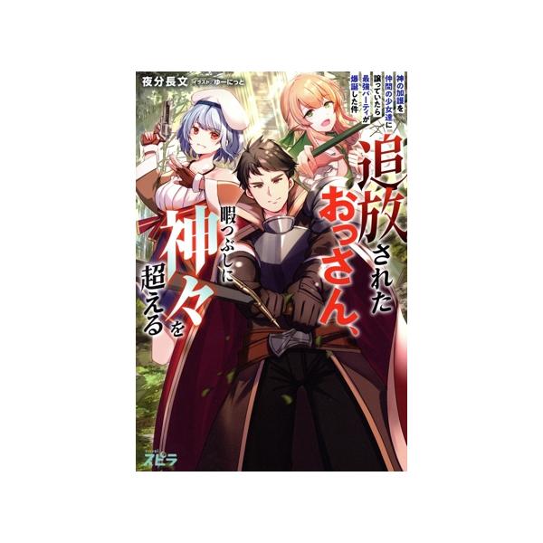 追放されたおっさん、暇つぶしに神々を超える 神の加護を仲間の少女達に譲っていたら最強パーティが爆誕した件 novel