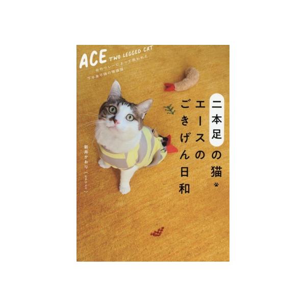 二本足の猫・エースのごきげん日和/新井かおり(著者)