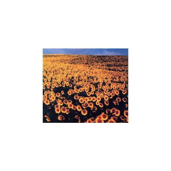 BOLERO/Mr.Children