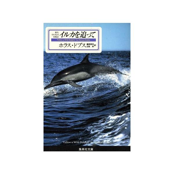 イルカを追って 野生イルカとの交流記 集英社文庫/ホラス・ドブス(著者),藤原英司(訳者
