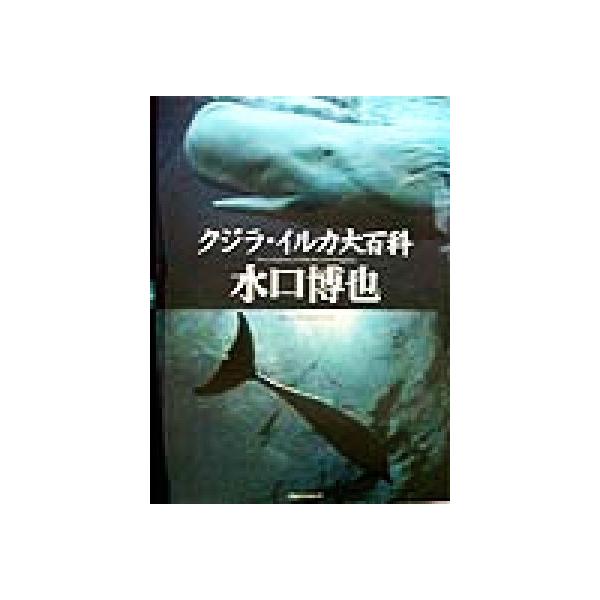 クジラ・イルカ大百科/水口博也(著者)