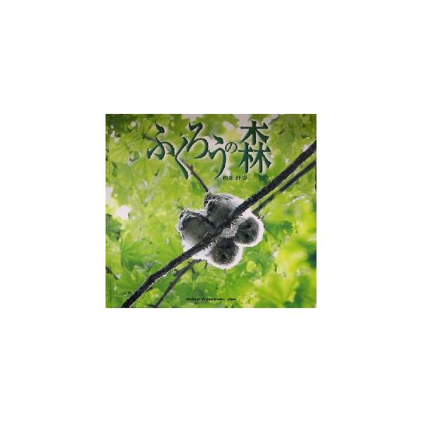 ふくろうの森／横田雅博