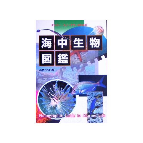 海中生物図鑑 ダイバー・スノーケラーのための/小林安雅(著者)