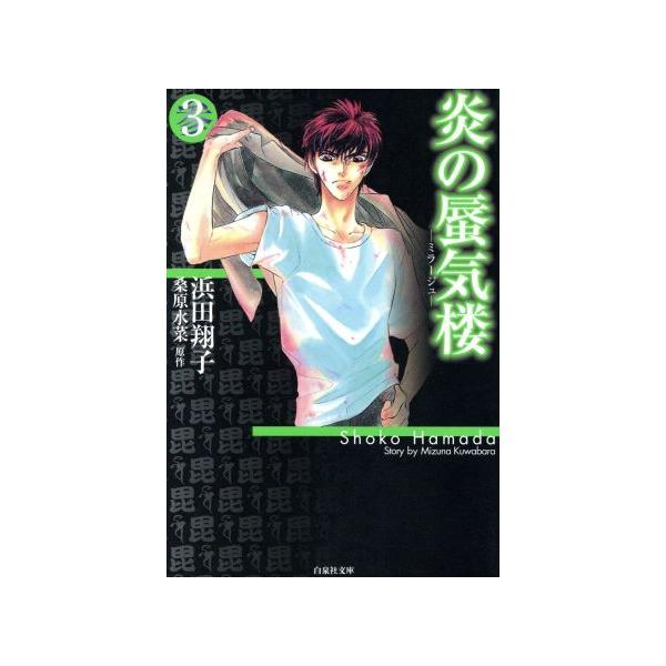 炎の蜃気楼(ミラージュ)(文庫版)(3) 白泉社文庫/浜田翔子(著者)